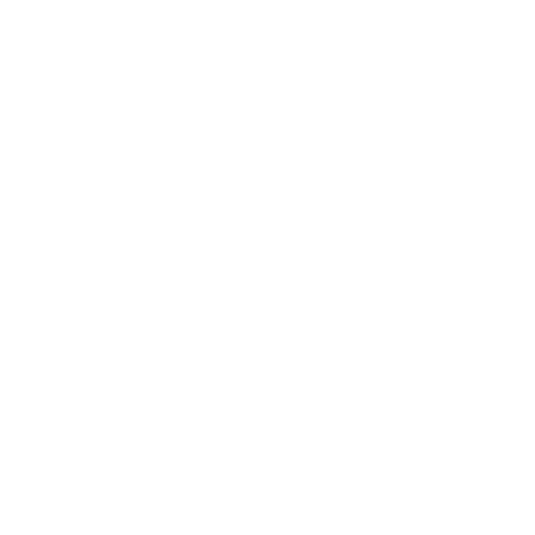 white burburryn trnsp